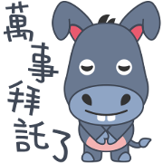 Little Donkey Daily Life