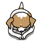 Jack dog