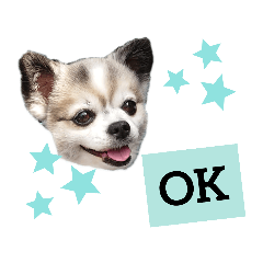 YUKARI_20200702100116