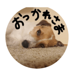 hana_20200701200344