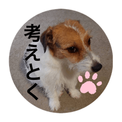 hana_20200701194022