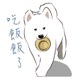 Cute Dog Samoyed