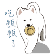 Cute Dog Samoyed