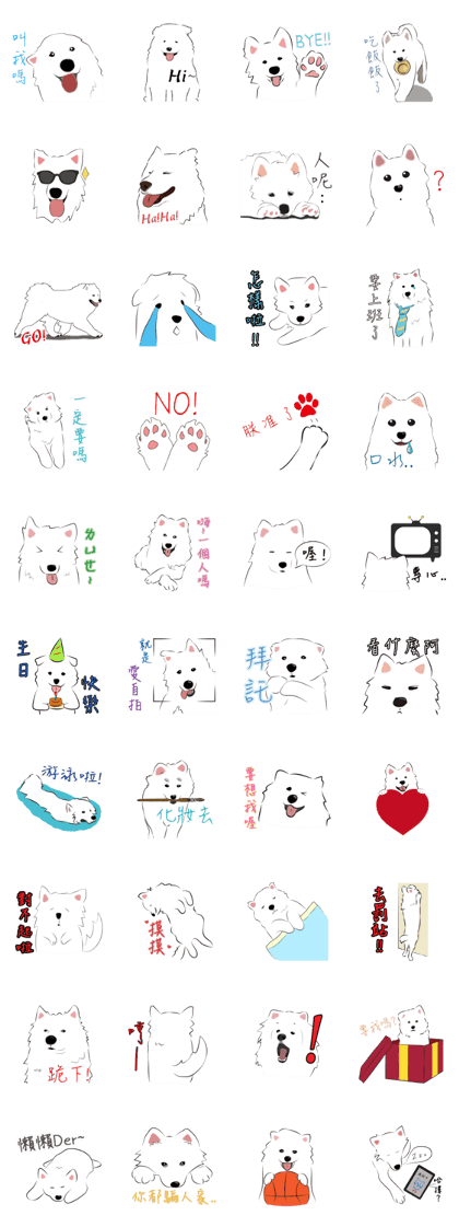Cute Dog Samoyed