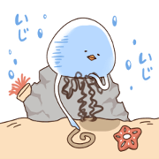 Daily life of the jellyfish2