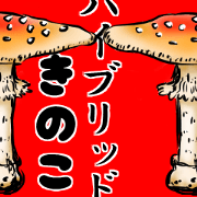 HYBRID MUSHROOM
