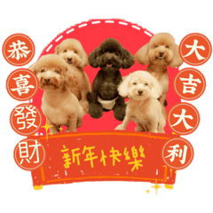 pinky家族日常2