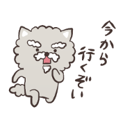 a cat of grandfather