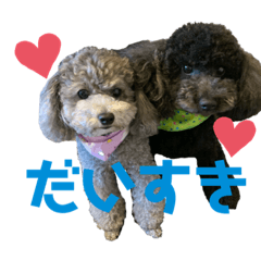 rina_20200701210303