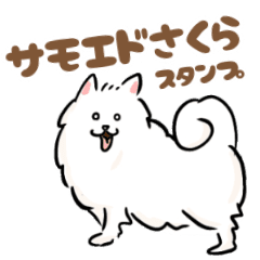 サモエドさくら Line スタンプ Line Store サモエドさくら Line スタンプ Line Store