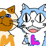 SR M&L