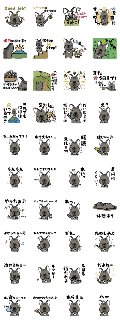 Frenchbulldog of ROSSI 2