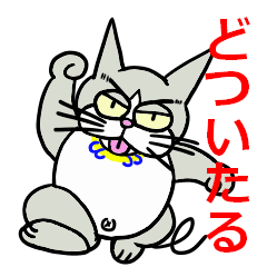 Cat of the Kansai dialect 2