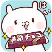Rabbit Chocolatier