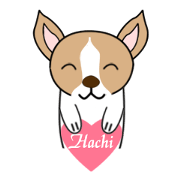 Hachi's daily life