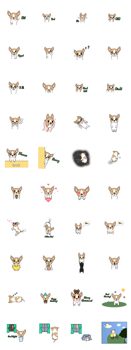 Hachi's daily life