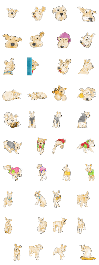 Schnauzer Lovers - Boo Bii