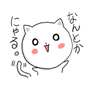 A slightly cat
