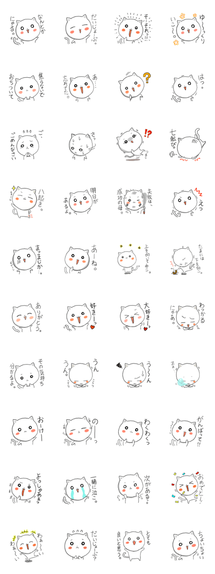 A slightly cat