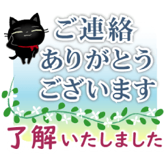 Long sentence stamp of the white cat.