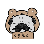 kumamoto pug