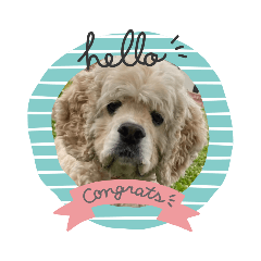 cocoa_20200701210547