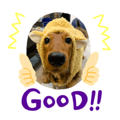 Nozomi_20200701192743