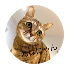 nonnyans_20200701191034
