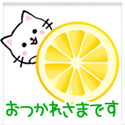Animated White cat- polite