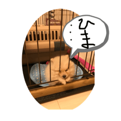 ポメちゃんモコスタンプ