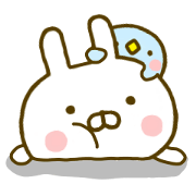 rabbit kawaii usachan 2