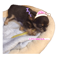 nai_20200702151235