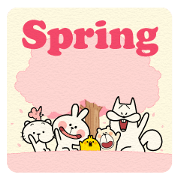 Spoiled Rabbit "Spring"
