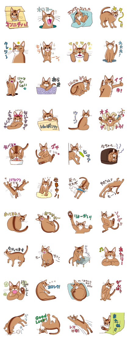 Kogeta the aby cat2