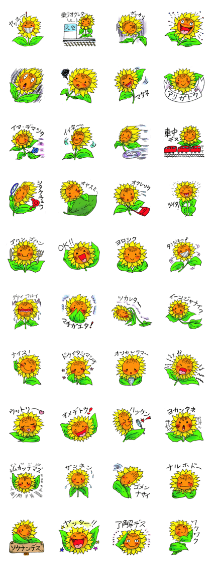 It sunflower