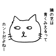 Feelings of Neko chan