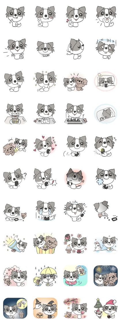 Chihuahua's LEMON3