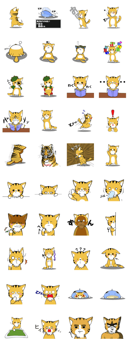 Feline KOTORA