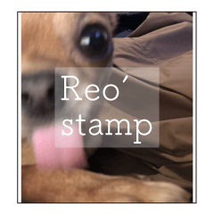 REO stamp...Naughty dog...