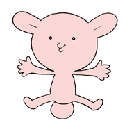 expressive face bunny