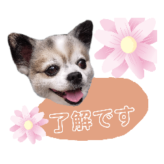 YUKARI_20200702162517