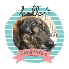 akiko_20200702153409