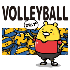 Volleyball bear