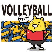 Volleyball bear