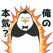 Lazy penguin