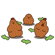 Days of the chicken Family