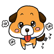 Daily of KENTA
