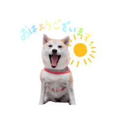 ayumi_20200702172351