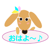 happy pure dog yui.