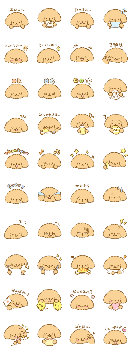 Poodle of cocoa